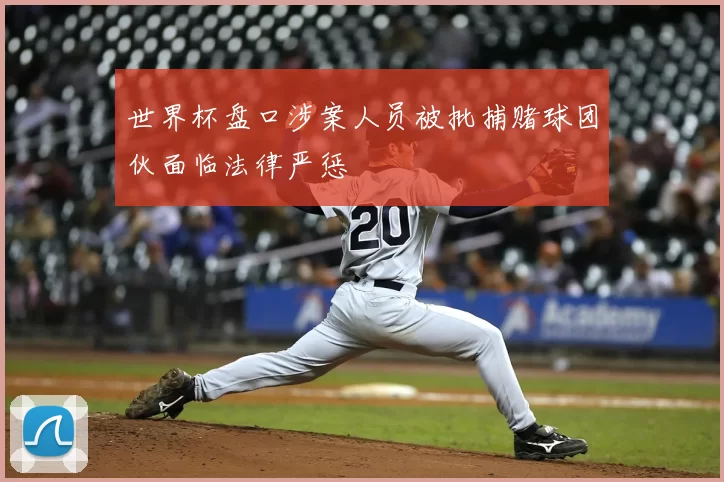 世界杯盘口涉案人员被批捕赌球团伙面临法律严惩