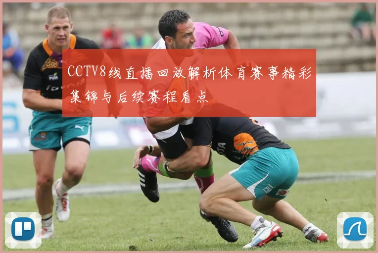 CCTV8线直播回放解析体育赛事精彩集锦与后续赛程看点