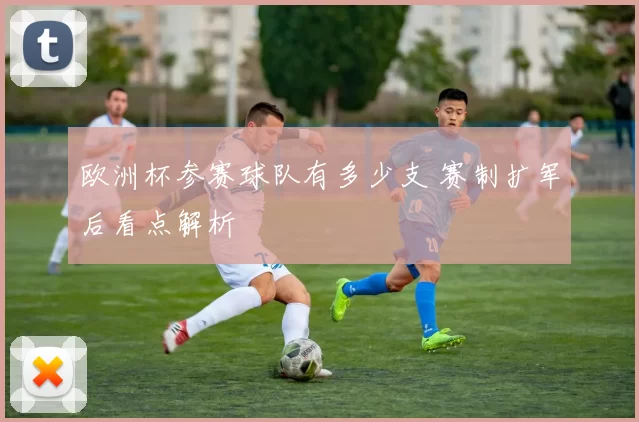 欧洲杯参赛球队有多少支 赛制扩军后看点解析